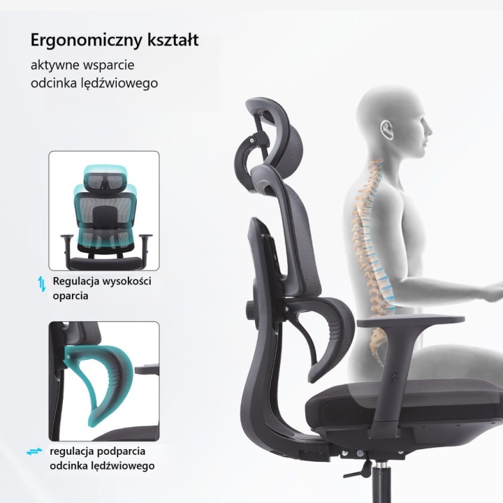 Sitlab Active - ergonomiczny kształt.jpg