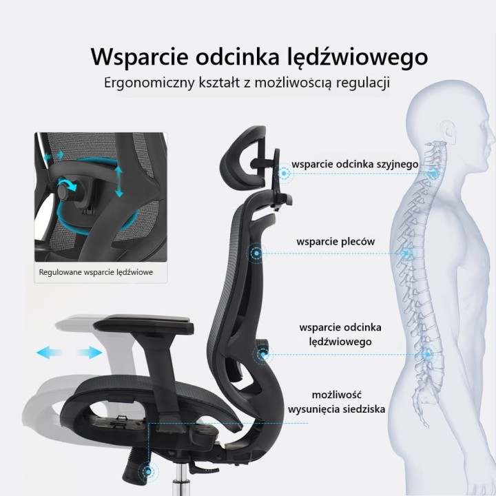 Sitlab Elite - regulacja odcinka lędźwiowego.jpg